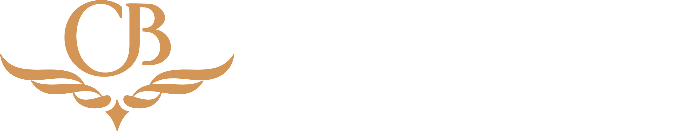 Caron Bonfá Consultores